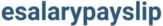 esalarypayslip logo