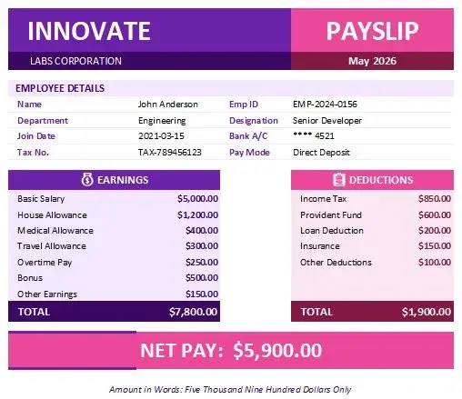 Salary Payslip paystub Template 4